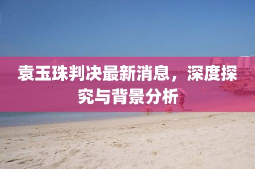 袁玉珠判決最新消息，深度探究與背景分析