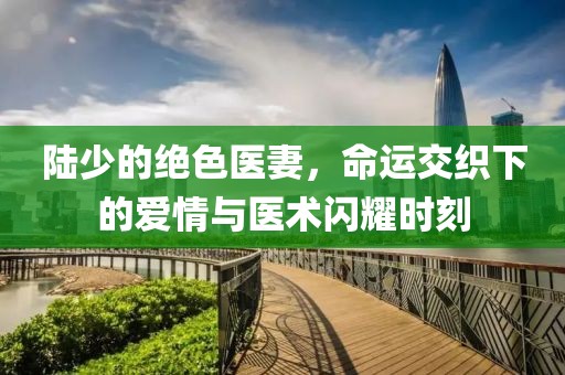 陸少的絕色醫妻，命運交織下的愛(ài)情與醫術(shù)閃耀時(shí)刻