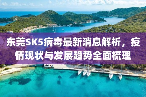 東莞SK5病毒最新消息解析，疫情現狀與發(fā)展趨勢全面梳理