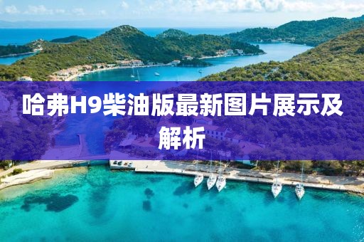 哈弗H9柴油版最新圖片展示及解析