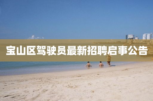寶山區駕駛員最新招聘啟事公告