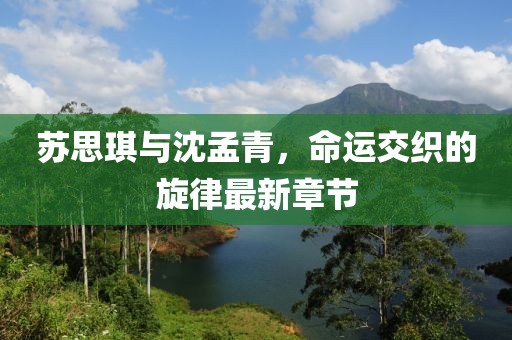 蘇思琪與沈孟青，命運交織的旋律最新章節