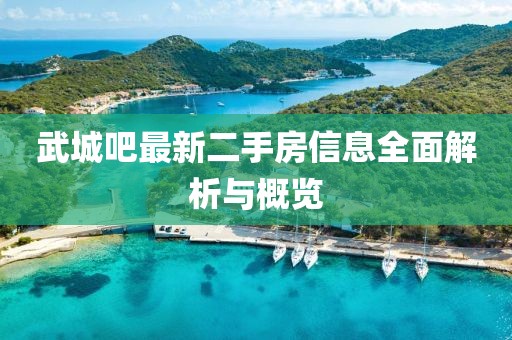 武城吧最新二手房信息全面解析與概覽