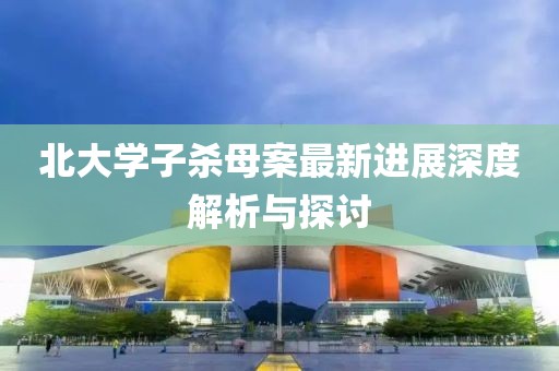 北大學(xué)子殺母案最新進(jìn)展深度解析與探討