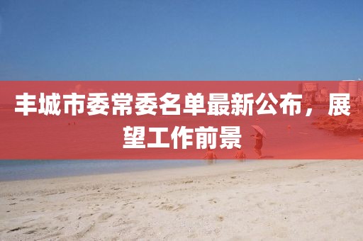 豐城市委常委名單最新公布，展望工作前景