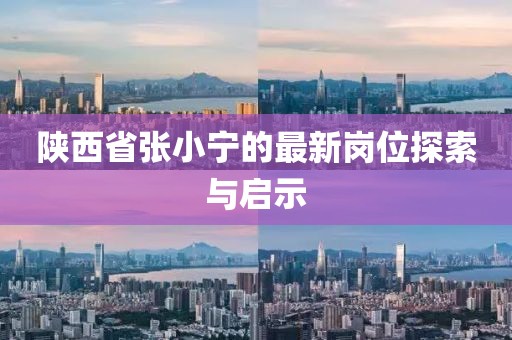 陜西省張小寧的最新崗位探索與啟示