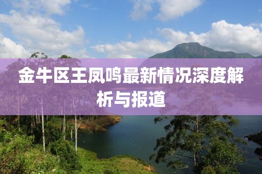 金牛區王鳳鳴最新情況深度解析與報道