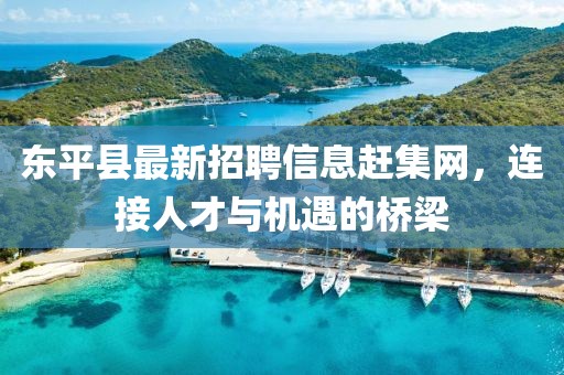 東平縣最新招聘信息趕集網(wǎng)，連接人才與機遇的橋梁