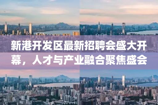新港開(kāi)發(fā)區最新招聘會(huì )盛大開(kāi)幕，人才與產(chǎn)業(yè)融合聚焦盛會(huì )