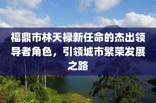福鼎市林天祿新任命的杰出領(lǐng)導者角色，引領(lǐng)城市繁榮發(fā)展之路