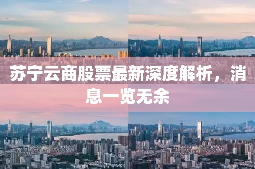 蘇寧云商股票最新深度解析，消息一覽無(wú)余