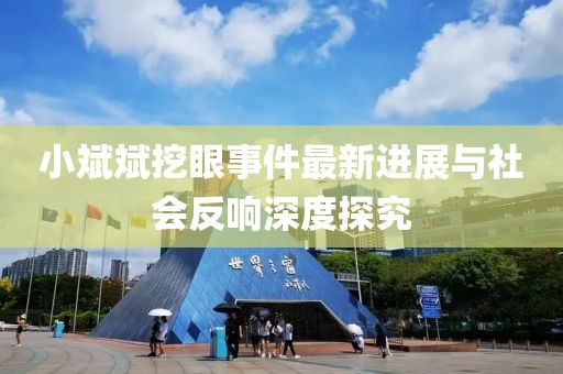 小斌斌挖眼事件最新進(jìn)展與社會(huì )反響深度探究