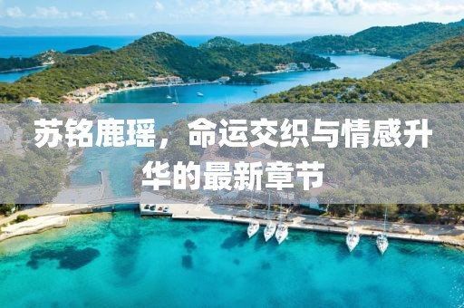 蘇銘鹿瑤，命運交織與情感升華的最新章節