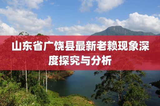 山東省廣饒縣最新老賴(lài)現象深度探究與分析