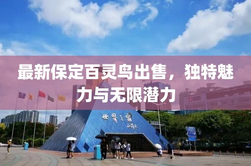 最新保定百靈鳥(niǎo)出售，獨特魅力與無(wú)限潛力