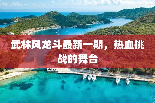 武林風(fēng)龍斗最新一期，熱血挑戰的舞臺