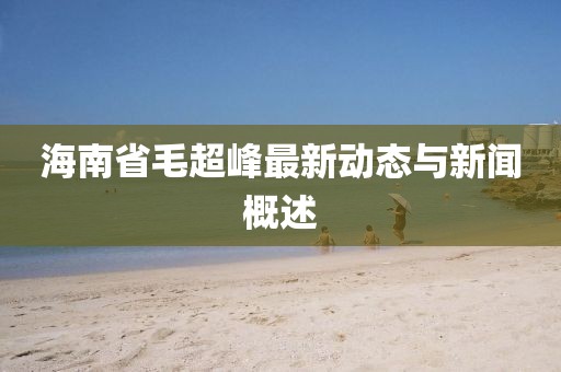 海南省毛超峰最新動(dòng)態(tài)與新聞概述