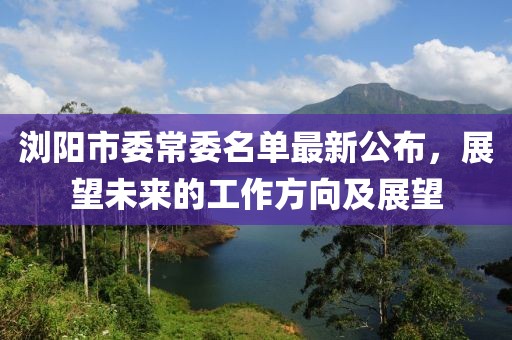 瀏陽(yáng)市委常委名單最新公布，展望未來(lái)的工作方向及展望
