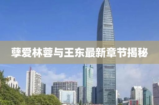 孽愛(ài)林蓉與王東最新章節揭秘