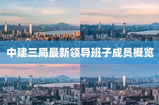 中建三局最新領(lǐng)導班子成員概覽