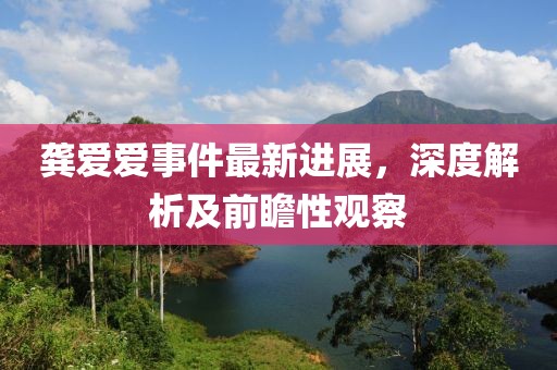龔愛(ài)愛(ài)事件最新進(jìn)展，深度解析及前瞻性觀(guān)察