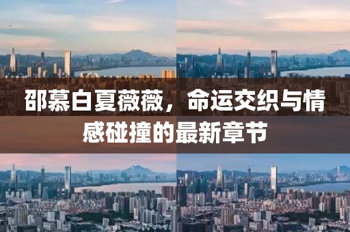邵慕白夏薇薇，命運交織與情感碰撞的最新章節