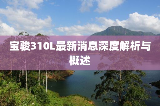 寶駿310L最新消息深度解析與概述