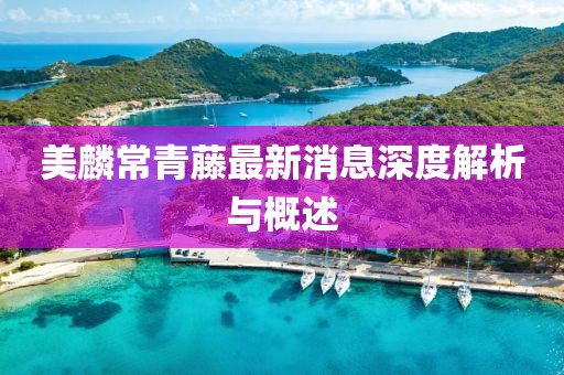 美麟常青藤最新消息深度解析與概述