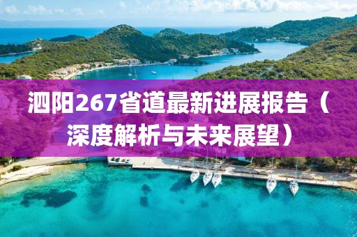 泗陽(yáng)267省道最新進(jìn)展報告（深度解析與未來(lái)展望）