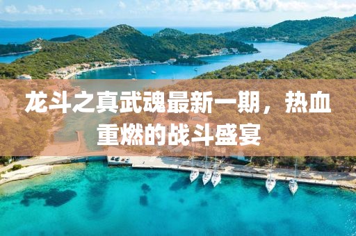 龍斗之真武魂最新一期，熱血重燃的戰斗盛宴