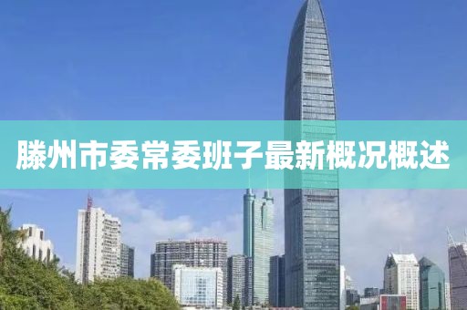 滕州市委常委班子最新概況概述