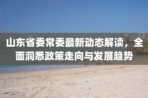 山東省委常委最新動(dòng)態(tài)解讀，全面洞悉政策走向與發(fā)展趨勢