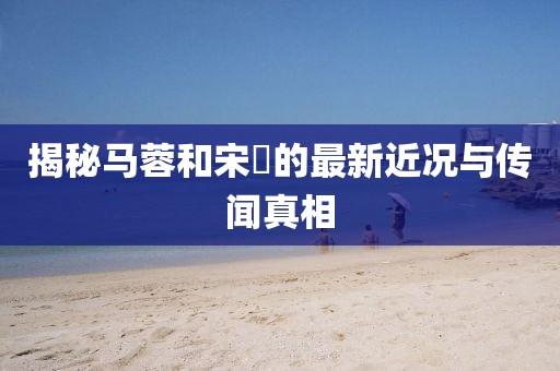 揭秘馬蓉和宋喆的最新近況與傳聞?wù)嫦? class=