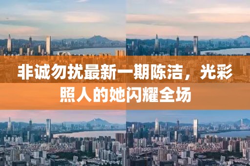 非誠勿擾最新一期陳潔，光彩照人的她閃耀全場(chǎng)