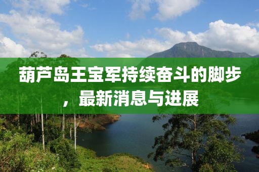 葫蘆島王寶軍持續奮斗的腳步，最新消息與進(jìn)展