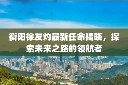 衡陽(yáng)徐友灼最新任命揭曉，探索未來(lái)之路的領(lǐng)航者