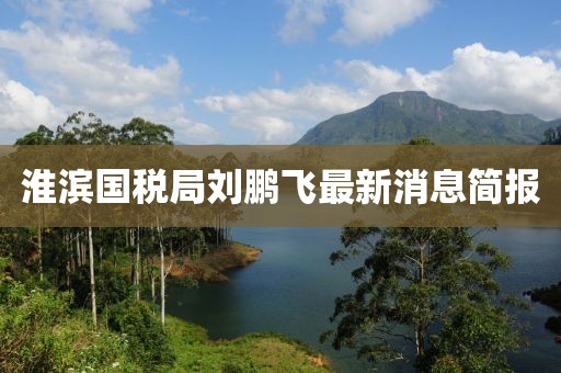 淮濱國稅局劉鵬飛最新消息簡(jiǎn)報