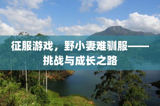 征服游戲，野小妻難馴服——挑戰與成長(cháng)之路
