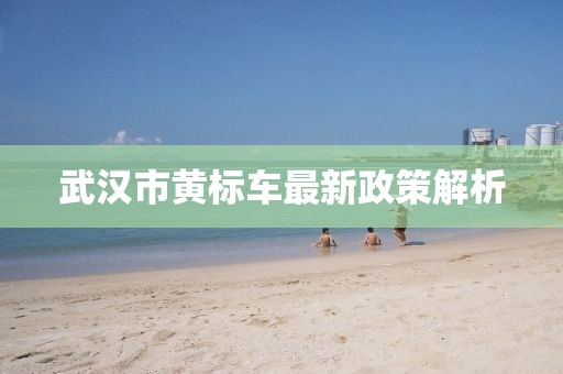 武漢市黃標車(chē)最新政策解析