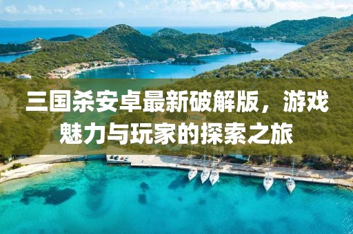 三國殺安卓最新破解版，游戲魅力與玩家的探索之旅
