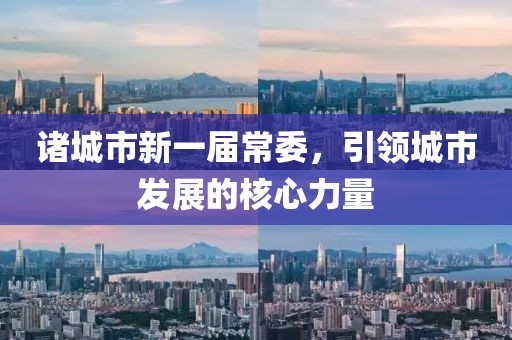 諸城市新一屆常委，引領(lǐng)城市發(fā)展的核心力量