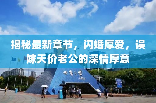 揭秘最新章節，閃婚厚愛(ài)，誤嫁天價(jià)老公的深情厚意