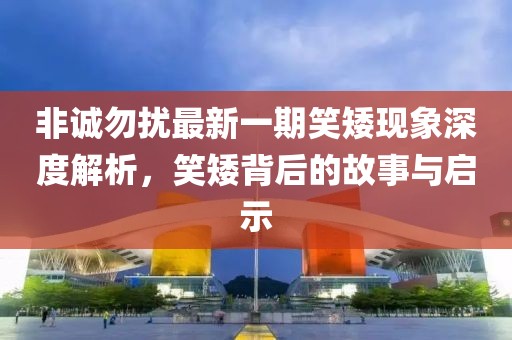 非誠勿擾最新一期笑矮現象深度解析，笑矮背后的故事與啟示