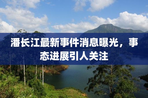 潘長(cháng)江最新事件消息曝光，事態(tài)進(jìn)展引人關(guān)注