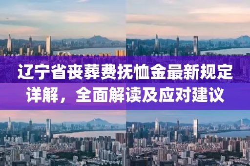 遼寧省喪葬費撫恤金最新規定詳解，全面解讀及應對建議