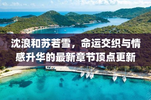沈浪和蘇若雪，命運交織與情感升華的最新章節頂點(diǎn)更新