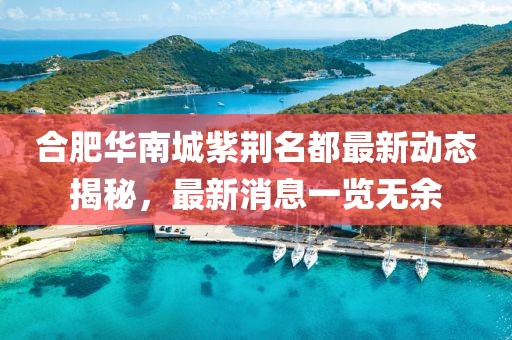 合肥華南城紫荊名都最新動(dòng)態(tài)揭秘，最新消息一覽無(wú)余