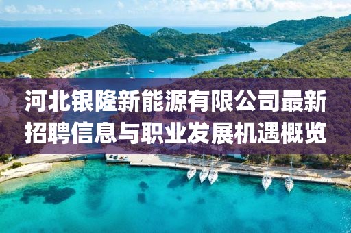 河北銀隆新能源有限公司最新招聘信息與職業(yè)發(fā)展機遇概覽