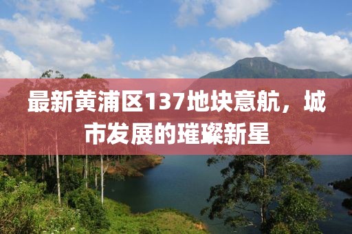 最新黃浦區137地塊意航，城市發(fā)展的璀璨新星