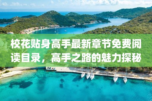 ?；ㄙN身高手最新章節免費閱讀目錄，高手之路的魅力探秘